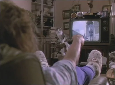 Choisis un programme à la télévision.