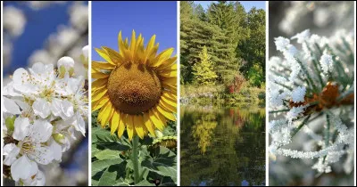 Quelle est ta saison préférée ?