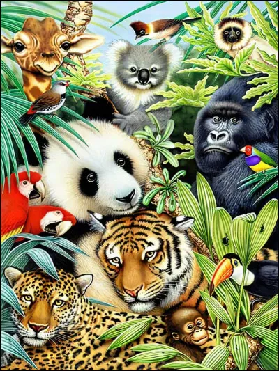 Et enfin, quel est ton animal préféré ?