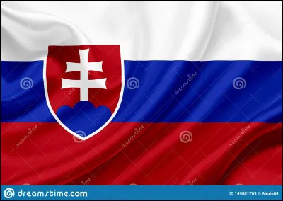 &Agrave; quel pays appartient ce drapeau ?