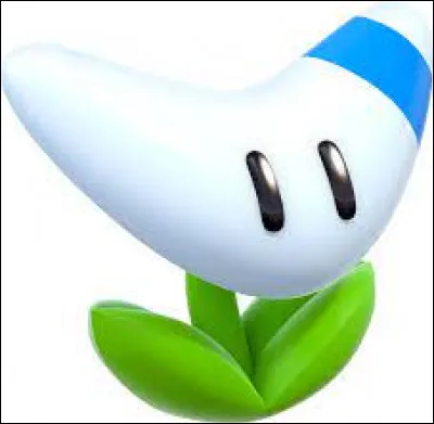 Comment s'appelle cet objet ?