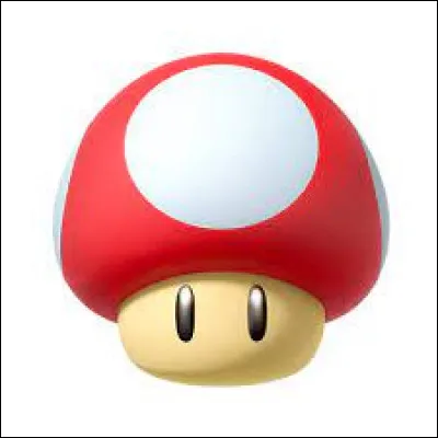 Comment s'appelle cet objet ?