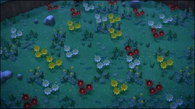 Quelle est la plus petite des libellules ?