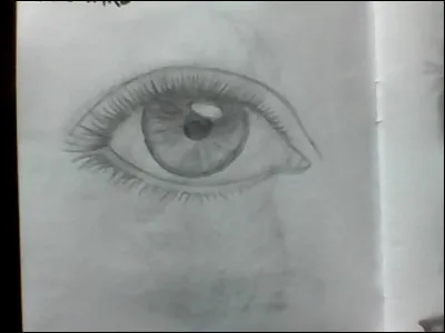 Qu'est-ce que c'est ?