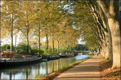 De quelle ville provient cette photo ?