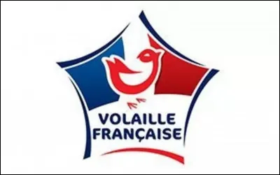 De quelle volaille ''La Flèche'' est-elle une race ?