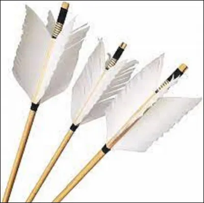 Quel est le nom de l'ensemble de plumes qui assure la stabilité de la flèche pendant son vol ?