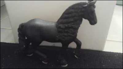 Quelle est sa race ?