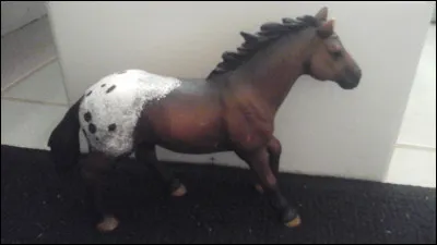 Quelle est sa race ?