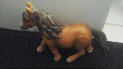 Quelle est sa race ?