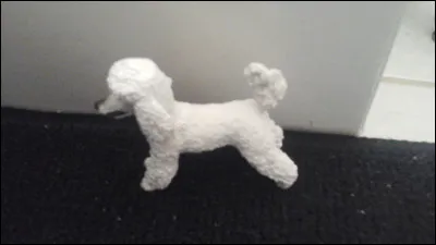 Quelle est sa race ?