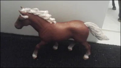 Quelle est sa race ?