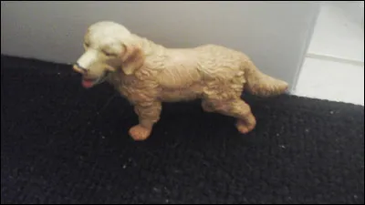 Quelle est sa race ?