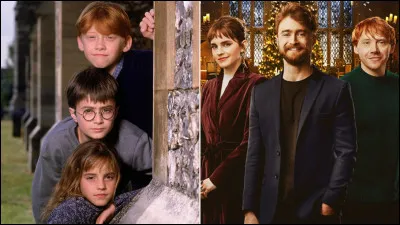 Quel personnage de ''Dragon Ball'' pr&eacute;f&egrave;res-tu ?