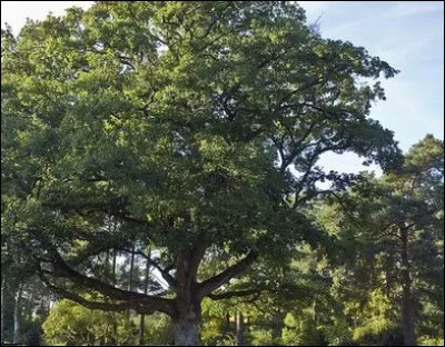 Quel acteur a vécu plusieurs années avec la romancière Bénédicte Martin ?