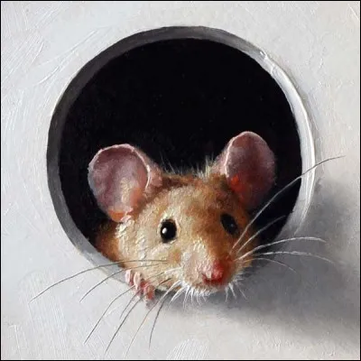 Est-ce quune souris peut ressentir la tristesse de ses congénères ?
