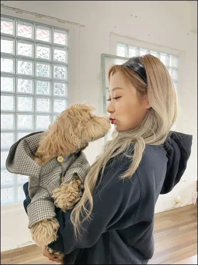 Comment s'appelle le chien de Giselle ?