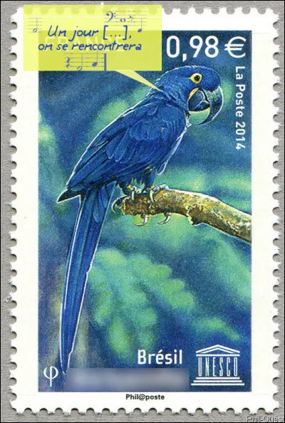 Il ne reste plus qu'à appeler Bougrain-Dubourg ou le docteur Jivago, non ?