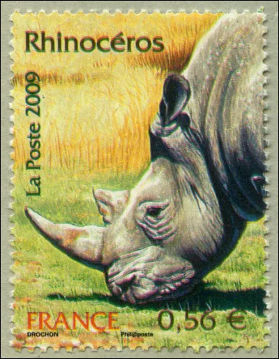 "Rhinocéros" est une pièce de théâtre de Ionesco : quelles est/sont la/les autre(s) ?