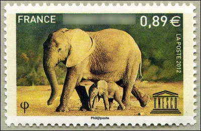 On risque de l'appeler un jour "l'éléphantome" !