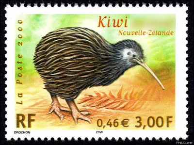Il serait le fruit... de beaucoup d'attentions ! Qui est-il ? "Le kiwi..."