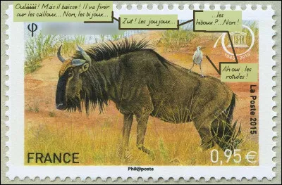 Avec quelques hésitations, le pique-boeuf cherche à nous orienter sur le nom de cet animal : lequel ?