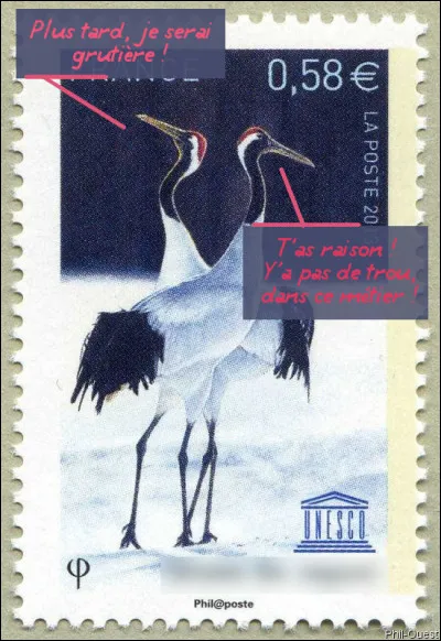 Elles étaient prédestinées... mais pas à disparaître ! Qui sont-elles ?