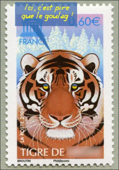 Arrêtons de le tirer (par la queue ?), ce diable ! "Le tigre..."