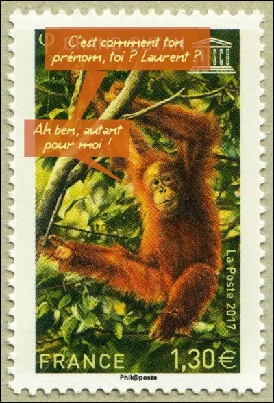 À force de forer la forêt, on fait tout foirer !