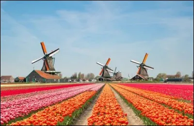 Comment dit-on mercredi en hollandais ?
