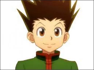 Qui est ce garçon aux cheveux verts ?