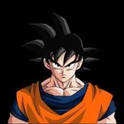 Protagoniste de ''Dragon Ball'', je suis...