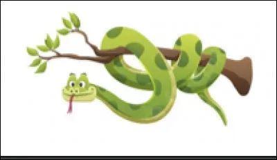 Quel est cet animal ?