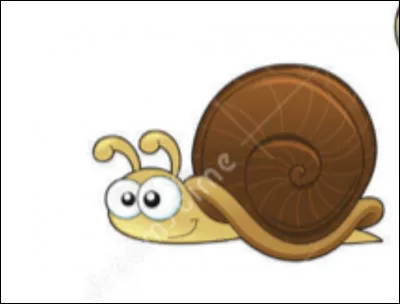 Quel est cet animal ?