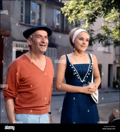Quelle profession Louis de Funès a-t-il incarnée dans certains films dans lesquels il a joué ?