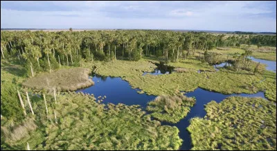 Il a pour surnom "The Sunshine State" :