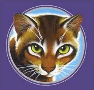 De qui parle le hors-série "La Promesse de l'Élu"