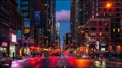 Cette ville américaine est aussi surnommée "Big Apple".