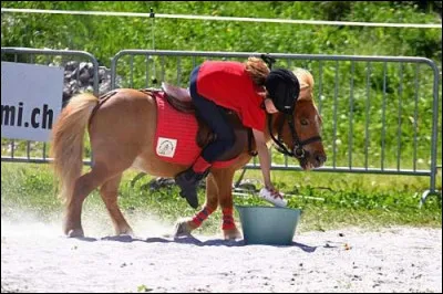 Quelle est cette discipline ?