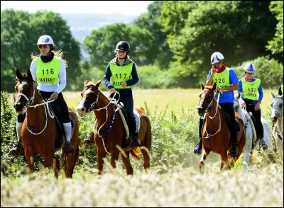 Quelle est cette discipline ?