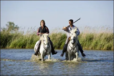 Quelle est cette discipline ?