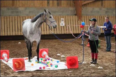 Quelle est cette discipline ?