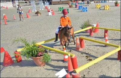 Quelle est cette discipline ?