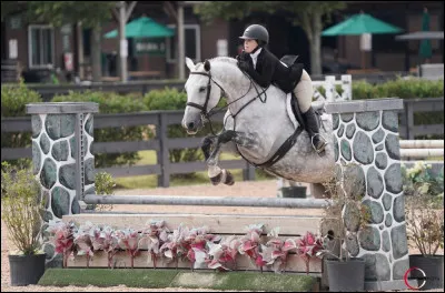 Quelle est cette discipline ?