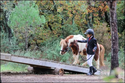 Quelle est cette discipline ?