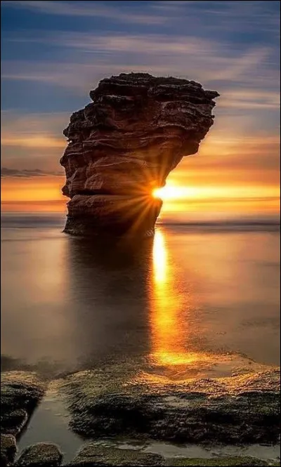 En quelle année s'est-elle mariée avec Pierre Curie ?