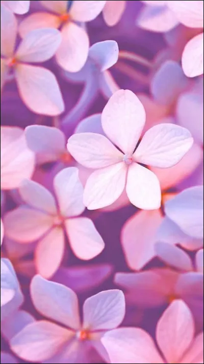 Avec qui aura-t-elle une liaison, faisant les grands titres des journaux ?