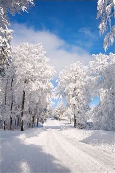 Où est-elle devenue la première enseignante féminine ?