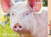 Quiz Compltement timbr (58) : le Cochon, en longe et en travers