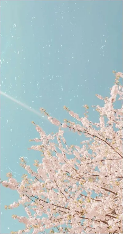 A quel âge les enfants finlandais entrent-ils à l'école ?